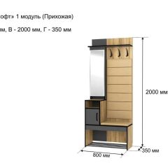 ОЛЬГА-ЛОФТ 1 Прихожая | фото 3